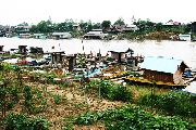 Foto: Cilts sievietes un saldūdens delfīnu meklējumi Borneo